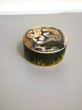 Cheetah Cubs of the Big Cats Collectors Music Box Vintage by Princeton Gallery